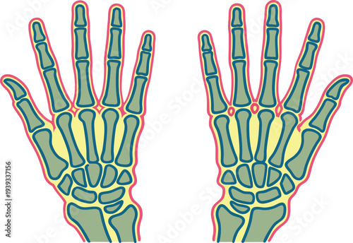 X Ray Medical Examination Concept. X Ray Diagnostic Imaging Concept. Medical X Ray Scan Illustration. X Ray Radiology Examination Concept. Hospital X Ray Imaging Concept. X Ray Diagnostic Healthcare
