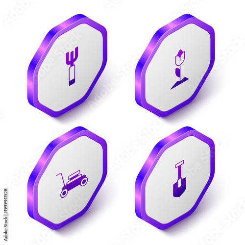 Set Isometric Garden pitchfork, Flower tulip, Lawn mower and Shovel icon. Purple hexagon button. Vector