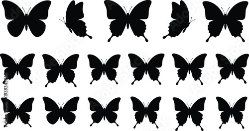 Butterfly silhouette collection, insect vector set, decorative wings illustration, nature graphic icons, elegant butterfly shapes, cad drawing flat vector illustration
