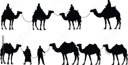 Camel caravan desert travel silhouette, traditional nomadic journey, cultural transport vector, black camel line art, cad drawing flat vector illustration