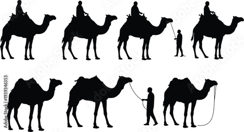 Camel silhouette desert caravan, nomadic travel vector art, traditional camel handling, black flat illustration, cad drawing flat