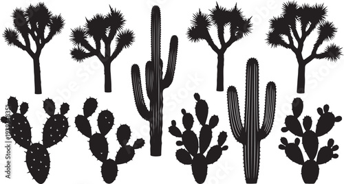 Desert cacti and Joshua trees flat design vector illustration, minimalist botanical landscape art, scalable graphic