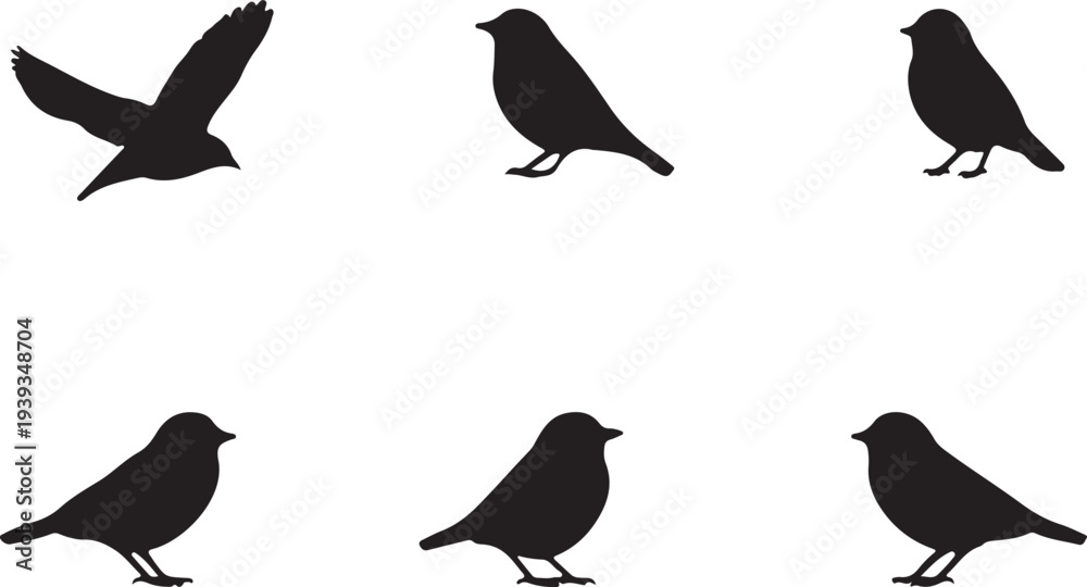 Fototapeta premium Eight unique black bird silhouettes in various poses vector illustration
