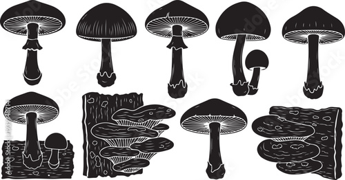 Set of various wild mushrooms growing in forest vector illustration flat design scalable art