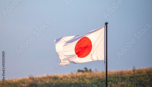 Wallpaper Mural "Japanese flag with red sun disc flying on outdoor flagpole against grassy field and clear blue sky." Torontodigital.ca