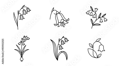 collection of bluebell, minimal thin icon vector set , white background , PNG and SVG isolate