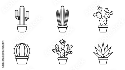 collection of cactus, minimal thin icon vector set , white background , PNG and SVG isolate