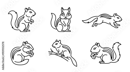 collection of chipmunk, minimal thin icon vector set , white background , PNG and SVG isolate