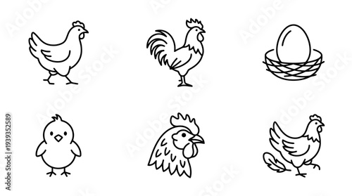 collection of chicken, minimal thin icon vector set , white background , PNG and SVG isolate