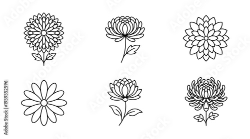 collection of chrysanthemum, minimal thin icon vector set , white background , PNG and SVG isolate