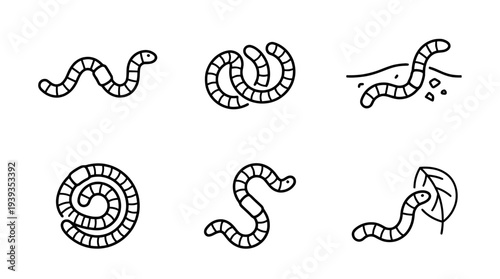 collection of earthworm, minimal thin icon vector set , white background , PNG and SVG isolate