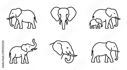 collection of elephant, minimal thin icon vector set , white background , PNG and SVG isolate