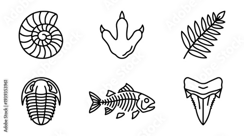 collection of fossil, minimal thin icon vector set , white background , PNG and SVG isolate