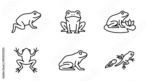 collection of frog, minimal thin icon vector set , white background , PNG and SVG isolate