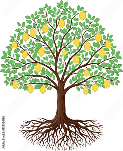 Lemon Tree with Roots Botanical Illustration Fresh Citrus Fruit Plant Nature Gardening Vector Illustration