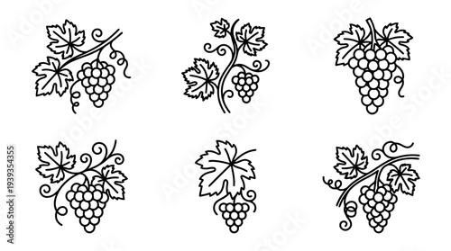 collection of grape vine, minimal thin icon vector set , white background , PNG and SVG isolate