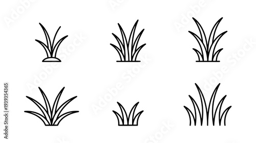 collection of grass tuft, minimal thin icon vector set , white background , PNG and SVG isolate