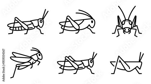 collection of grasshopper, minimal thin icon vector set , white background , PNG and SVG isolate