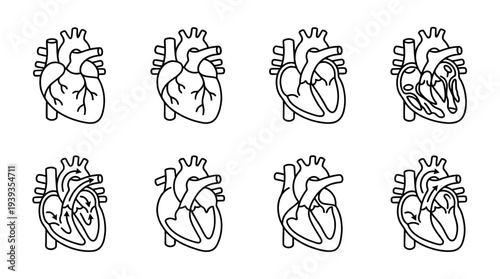 collection of heart organ, minimal thin icon vector set , white background , PNG and SVG isolate