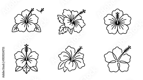 collection of hibiscus, minimal thin icon vector set , white background , PNG and SVG isolate