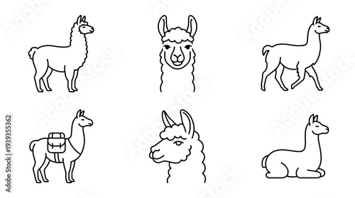 collection of llama, minimal thin icon vector set , white background , PNG and SVG isolate