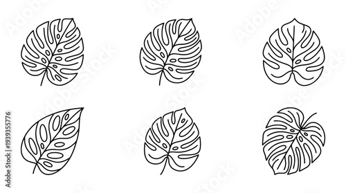 collection of monstera leaf, minimal thin icon vector set , white background , PNG and SVG isolate