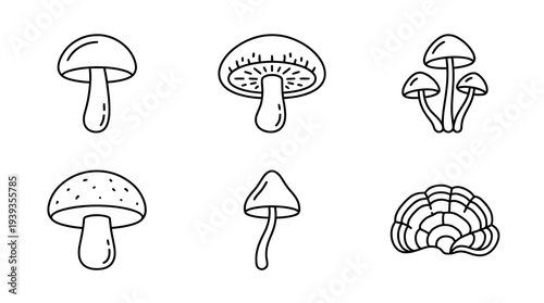 collection of mushroom, minimal thin icon vector set , white background , PNG and SVG isolate