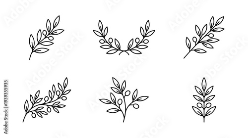 collection of olive branch, minimal thin icon vector set , white background , PNG and SVG isolate