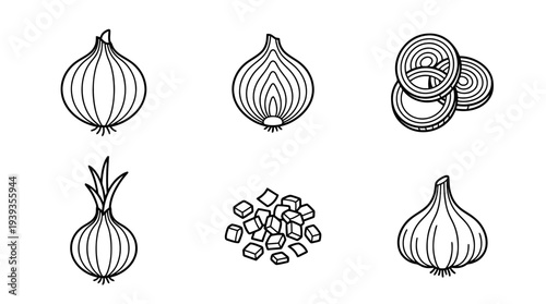 collection of onion, minimal thin icon vector set , white background , PNG and SVG isolate