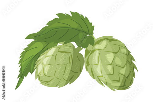 St. Patrick's Day beer ingredients. Green hops branch with leaves watercolor style vector isolated on white.