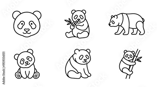 collection of panda, minimal thin icon vector set , white background , PNG and SVG isolate