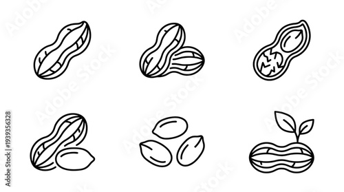collection of peanuts, minimal thin icon vector set , white background , PNG and SVG isolate