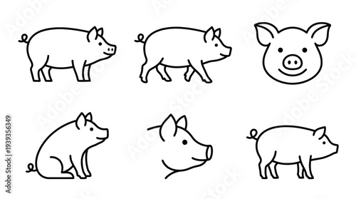 collection of pig, minimal thin icon vector set , white background , PNG and SVG isolate