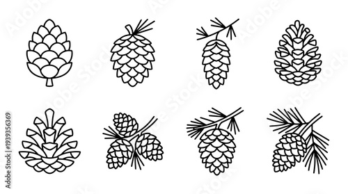 collection of pine cone, minimal thin icon vector set , white background , PNG and SVG isolate