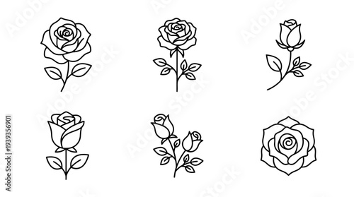 collection of rose, minimal thin icon vector set , white background , PNG and SVG isolate