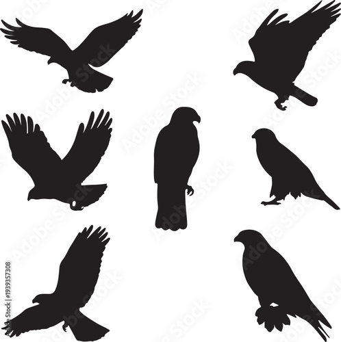 Six black raptor bird silhouettes flying and perched vector illustration, hawks eagles flat design scalable art