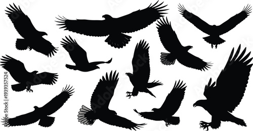 Black silhouettes of flying birds, raptors, eagles, hawks, wings spread, talons extended, diverse flight poses isolated on white background