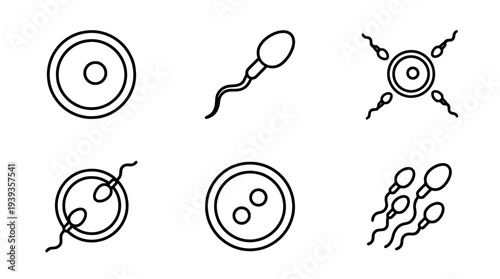 collection of sperm and egg, minimal thin icon vector set , white background , PNG and SVG isolate