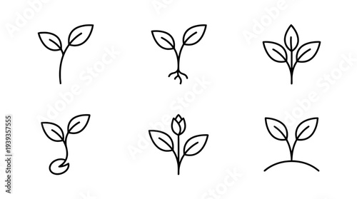 collection of sprout, minimal thin icon vector set , white background , PNG and SVG isolate