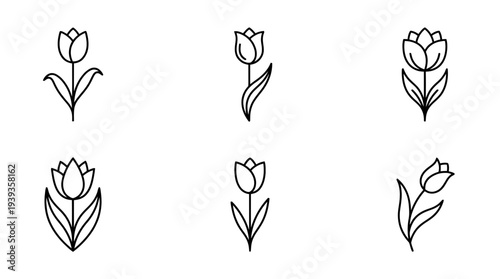 collection of tulip, minimal thin icon vector set , white background , PNG and SVG isolate