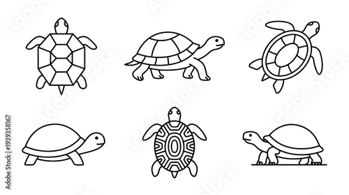 collection of turtle, minimal thin icon vector set , white background , PNG and SVG isolate