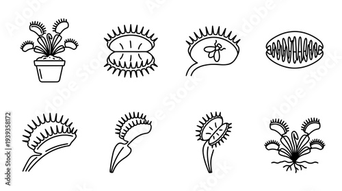 collection of venus flytrap, minimal thin icon vector set , white background , PNG and SVG isolate