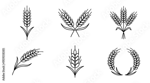 collection of wheat, minimal thin icon vector set , white background , PNG and SVG isolate