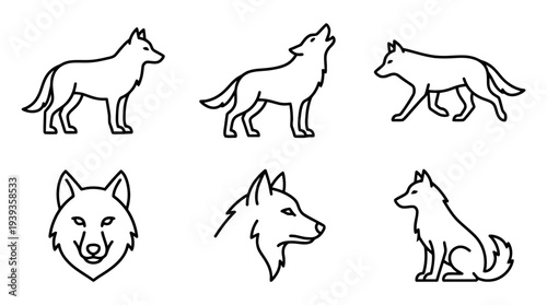 collection of wolf, minimal thin icon vector set , white background , PNG and SVG isolate