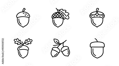 collection of acorn, minimal thin icon vector set , white background , PNG and SVG isolate