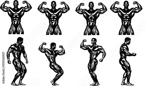 Muscular male bodybuilding poses, fitness anatomy illustration, flexing strong physique, gym workout art, health training vector design