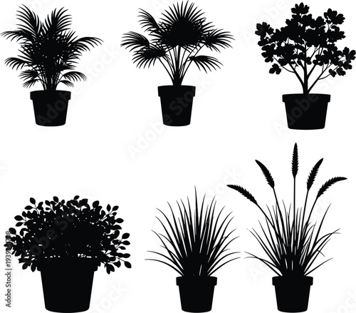 Potted plant silhouettes collection with diverse leaf shapes, palm fronds, bushy foliage, grass-like leaves, vector illustration, isolated black design on white background