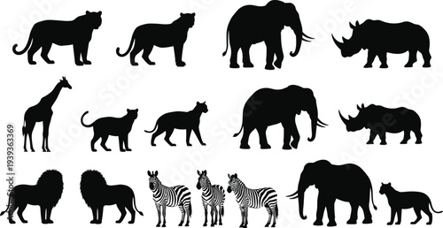 Silhouettes of wild animals including tiger, lion, elephant, rhinoceros, giraffe, zebra, panther, African and Asian wildlife illustration