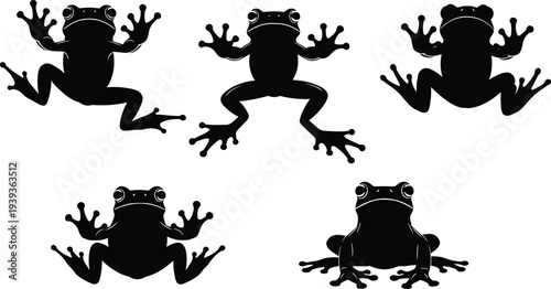 Six frog silhouettes in different poses, webbed feet detail, tree frog illustration, animal posture concept, biological design art