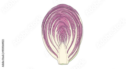 Red Onion Bulb with Purple Layers.